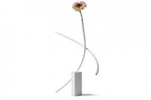 cappellini_stems_talarico-2