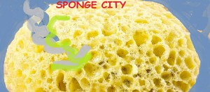 sponge city città spugna