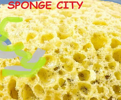 sponge city città spugna