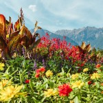 giardino sissi merano foliage