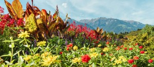 giardino sissi merano foliage