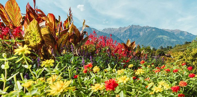 giardino sissi merano foliage