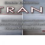 Alessandro Trani stable exhibition Medina Roma