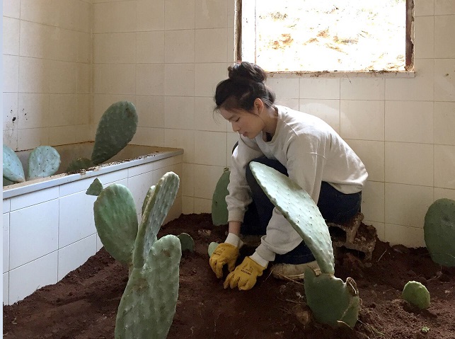 preserving dely manifesta palermo aa museum lab