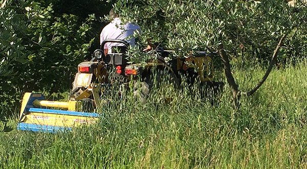 green jos lavoro verde