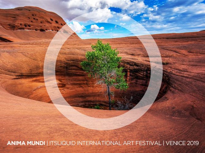ANIMA MUNDI CALL ARTISTS VENICE