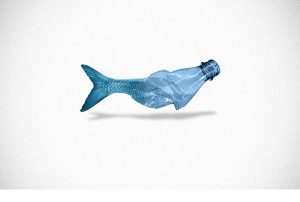 no plastic free spiagge wwf