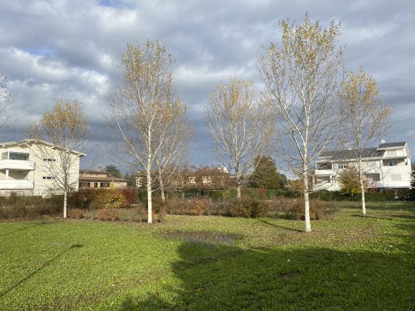 ecovillaggio Montale ecoquartiere