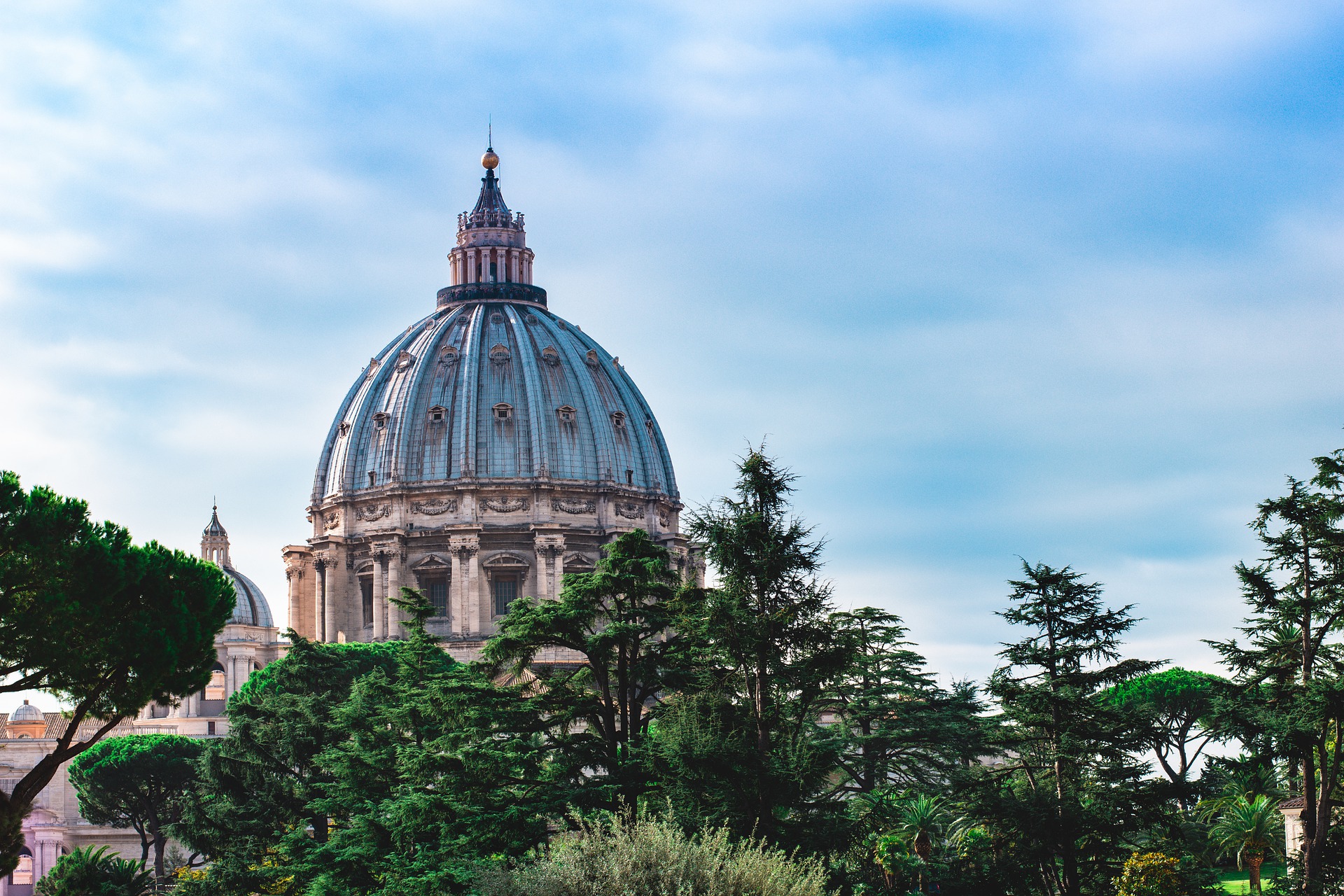 veduta roma alberi